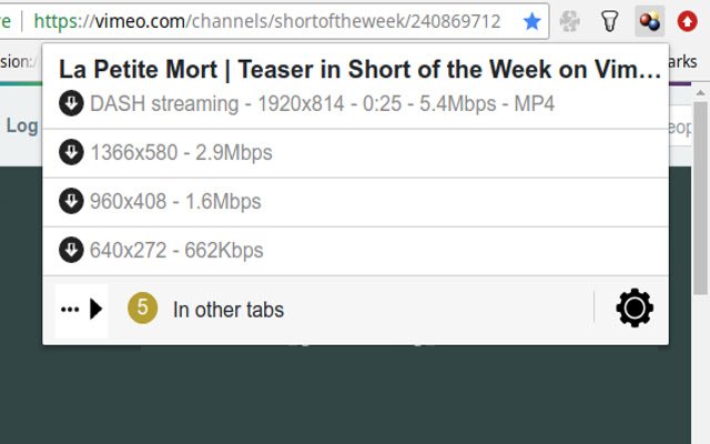 Video DownloadHelper для загрузки видео в Google Chrome